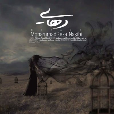 Mohammadreza Nasibi