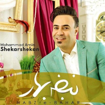 Mohammad Amin Shekarshekan