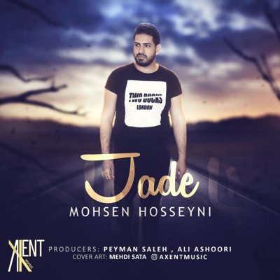 Mohsen Hosseyni