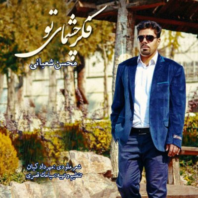 Mohsen Shabani
