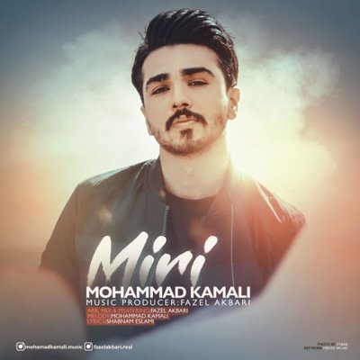 Mohammad Kamali