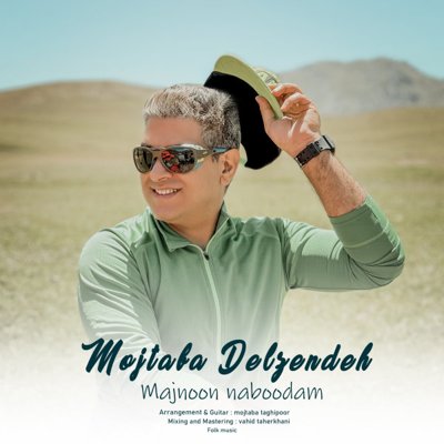 Mojtaba Delzendeh