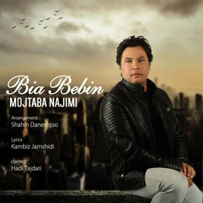 Mojtaba Najimi