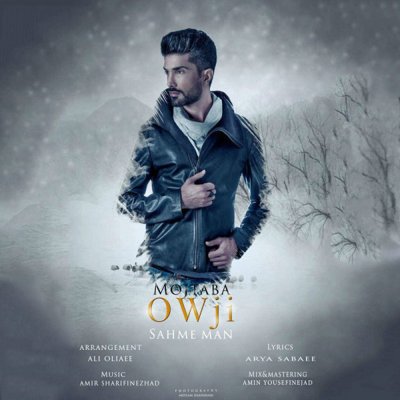 Mojtaba Owji