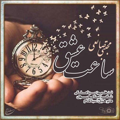 Mojtaba Sanei