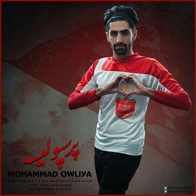 Mohammad Owliya