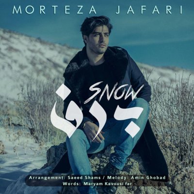 Morteza Jafari