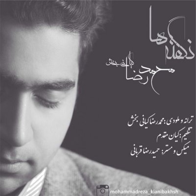 Mohammad Reza Kianibakhsh