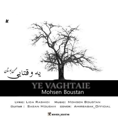 Mohsen Boustan