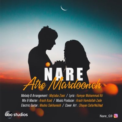 Nare