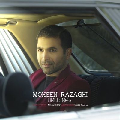 Mohsen Razaghi
