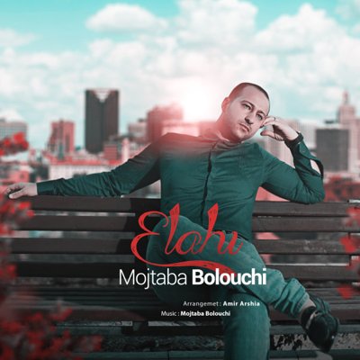 Mojtaba Bolouchi