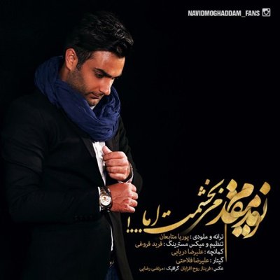 Navid Moghaddam