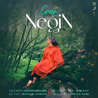 Negin
