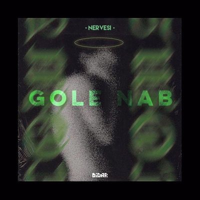 Nervesi