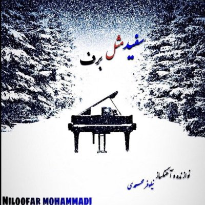 Niloofar Mohammadi