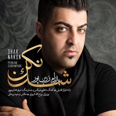 Pedram Zarrinpour