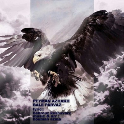Peyman Azhakh