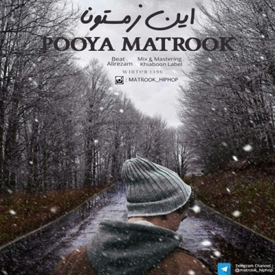 Pooya Matrook