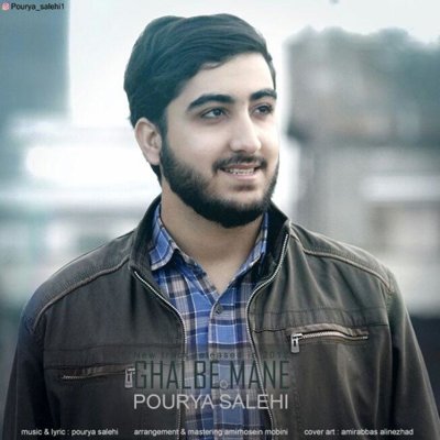 Pourya Salehi
