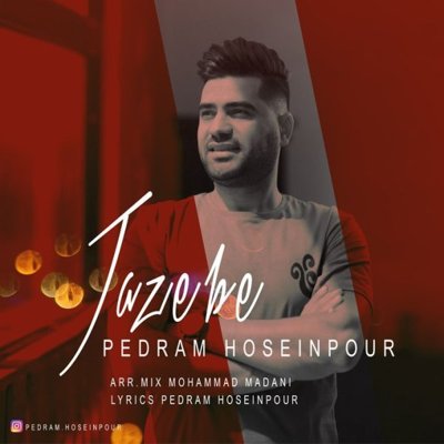 Pedram Hoseinpour