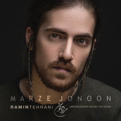 Ramin Tehrani