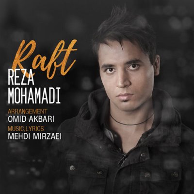 Reza Mohamadi