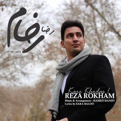 Reza Rokham