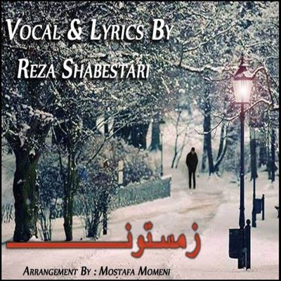 Reza Shabestari