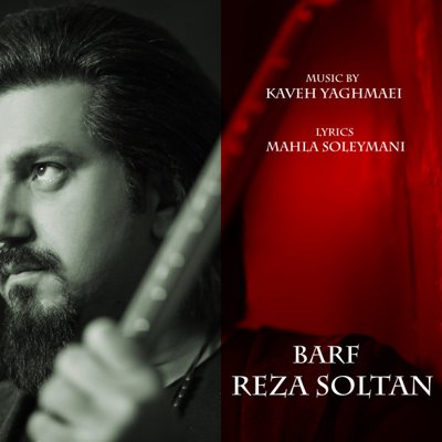 Reza Soltan