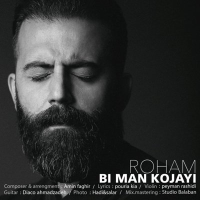 Roham Hosseinzadeh
