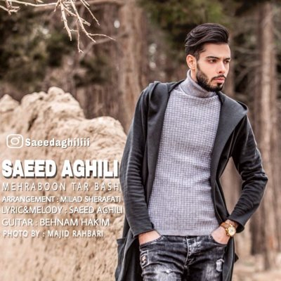 Saeed Aghili