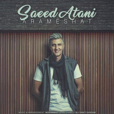 Saeed Atani