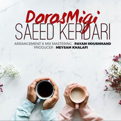Saeed Kerdari