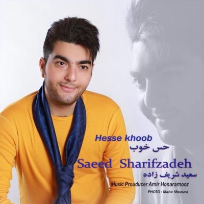 Saeed Sharifzadeh