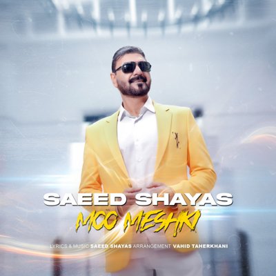 Saeed Shayas
