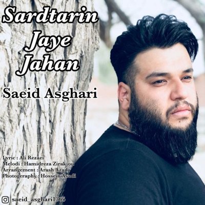Saeid Asghari