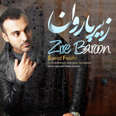 Saeid Fasihi