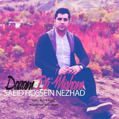 Saeid Hosseinnezhad