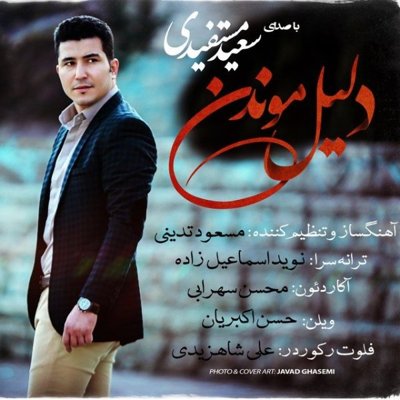 Saeid Mostafidi