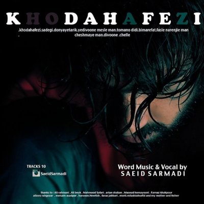 Saeid Sarmadi