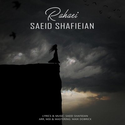 Saeid Shafieian