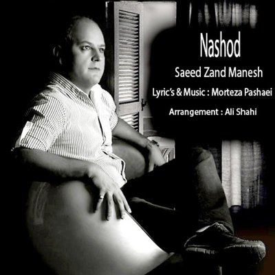 Saeid Zand Manesh