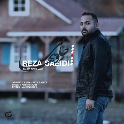 Reza Saeidi