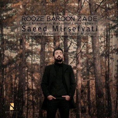 Saeed Mirsefvati