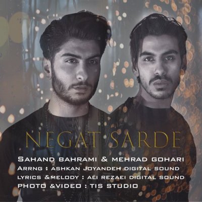 Sahand Bahrami & Mehrad Gohari