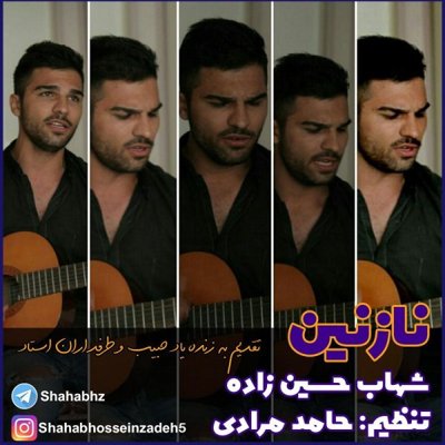 Shahab Hossein Zadeh