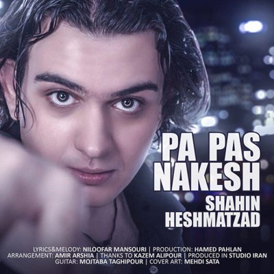 Shahin Heshmatzad