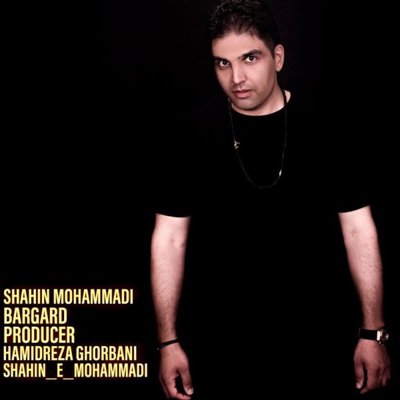 Shahin Mohammadi