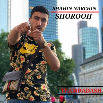 Shahin Narchin